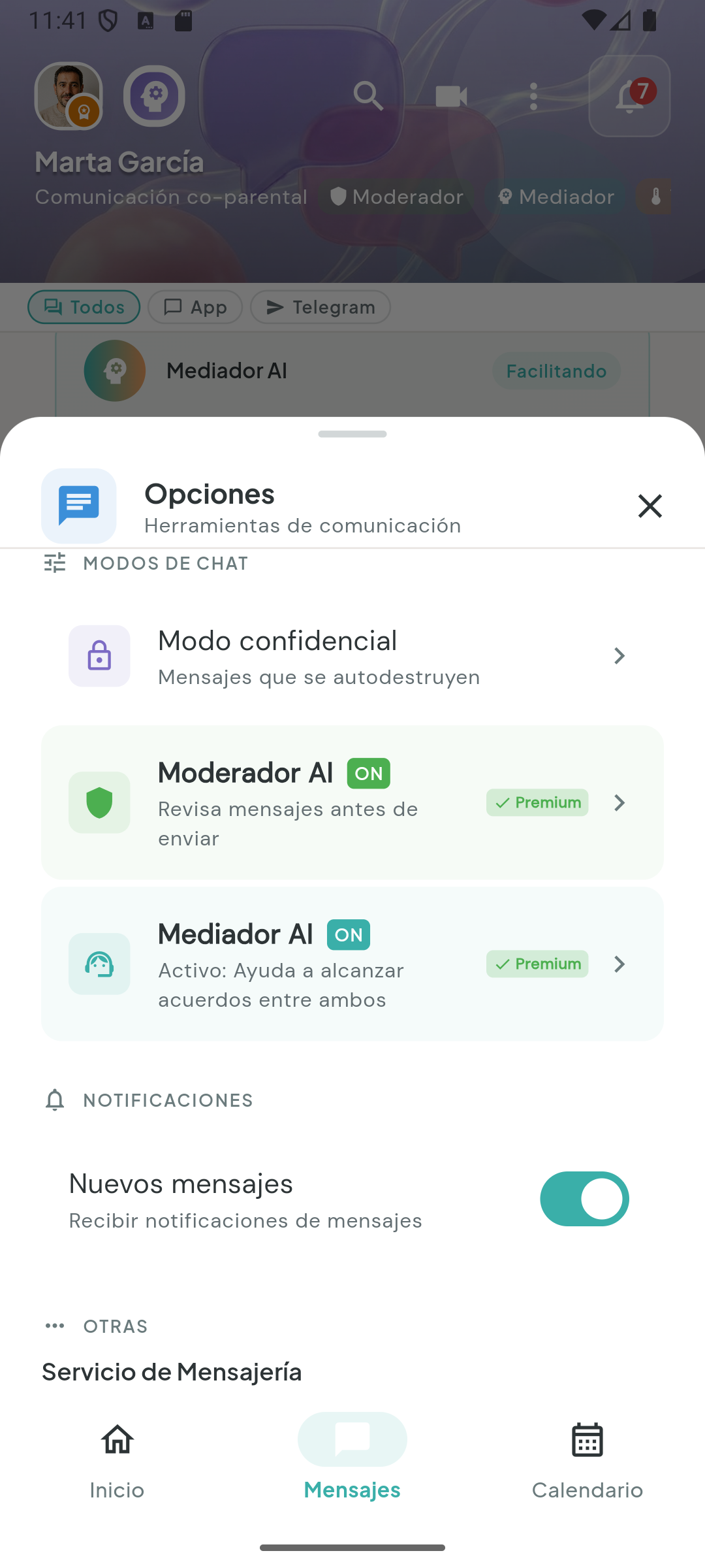 Pantalla real de opciones de chat con modo confidencial